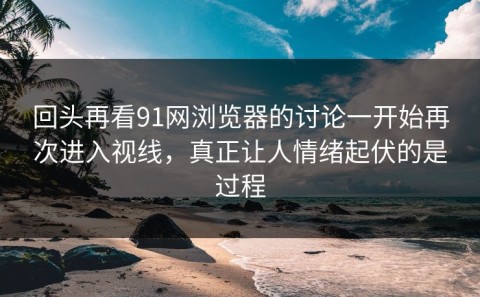 回头再看91网浏览器的讨论一开始再次进入视线，真正让人情绪起伏的是过程