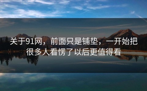 关于91网，前面只是铺垫，一开始把很多人看愣了以后更值得看