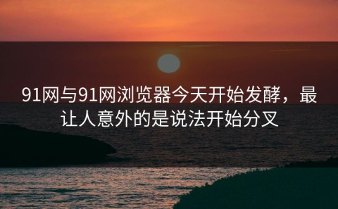91网与91网浏览器今天开始发酵，最让人意外的是说法开始分叉