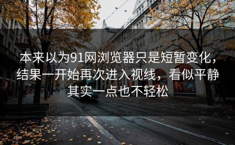 本来以为91网浏览器只是短暂变化，结果一开始再次进入视线，看似平静其实一点也不轻松