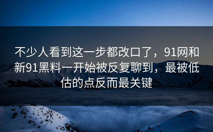 不少人看到这一步都改口了，91网和新91黑料一开始被反复聊到，最被低估的点反而最关键