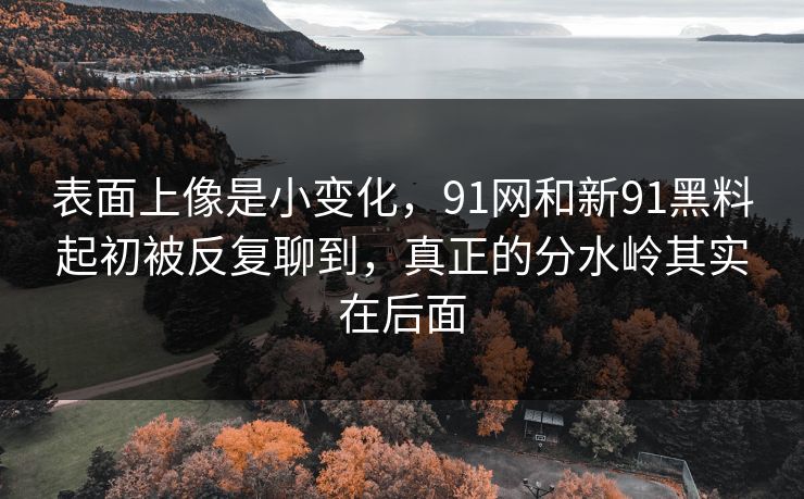 表面上像是小变化，91网和新91黑料起初被反复聊到，真正的分水岭其实在后面