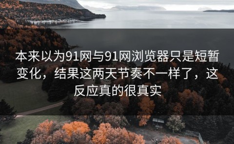 本来以为91网与91网浏览器只是短暂变化，结果这两天节奏不一样了，这反应真的很真实