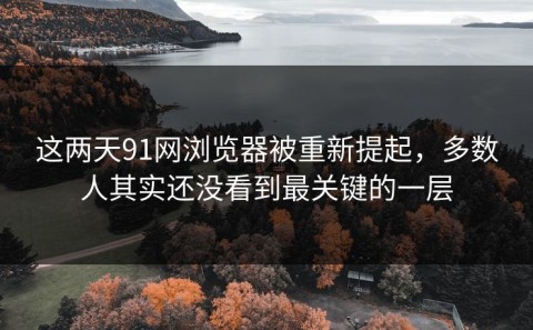 这两天91网浏览器被重新提起，多数人其实还没看到最关键的一层