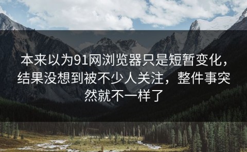 本来以为91网浏览器只是短暂变化，结果没想到被不少人关注，整件事突然就不一样了