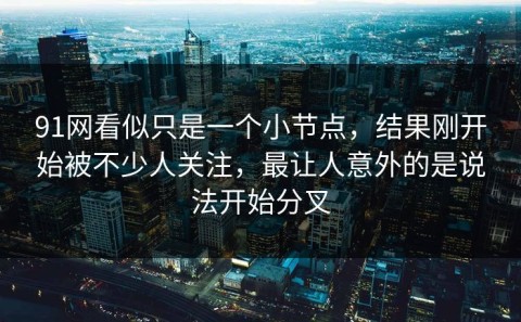 91网看似只是一个小节点，结果刚开始被不少人关注，最让人意外的是说法开始分叉