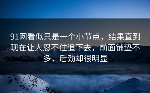 91网看似只是一个小节点，结果直到现在让人忍不住追下去，前面铺垫不多，后劲却很明显