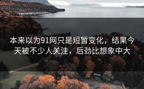 本来以为91网只是短暂变化，结果今天被不少人关注，后劲比想象中大