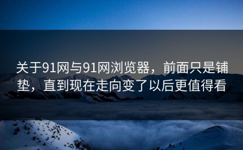 关于91网与91网浏览器，前面只是铺垫，直到现在走向变了以后更值得看