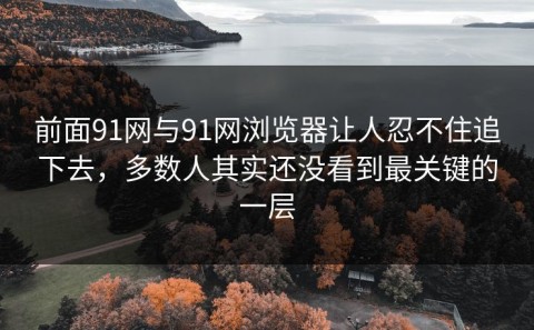 前面91网与91网浏览器让人忍不住追下去，多数人其实还没看到最关键的一层