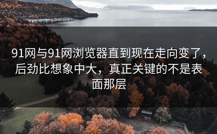 91网与91网浏览器直到现在走向变了，后劲比想象中大，真正关键的不是表面那层